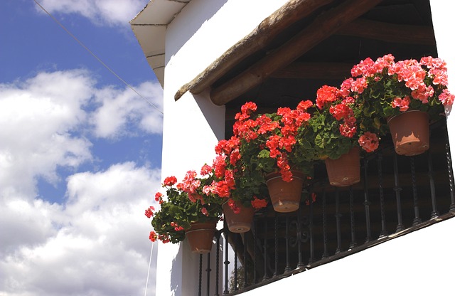 Viajar en autocaravana a La Alpujarra