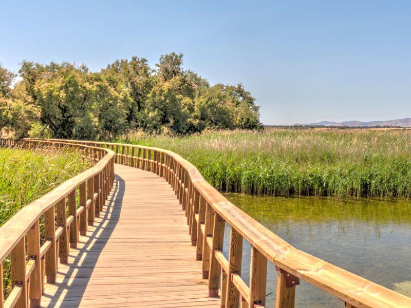 otoño en autocaravana